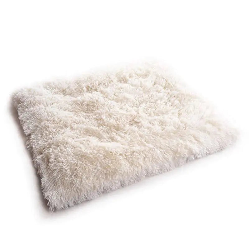 Cat Bed for smee