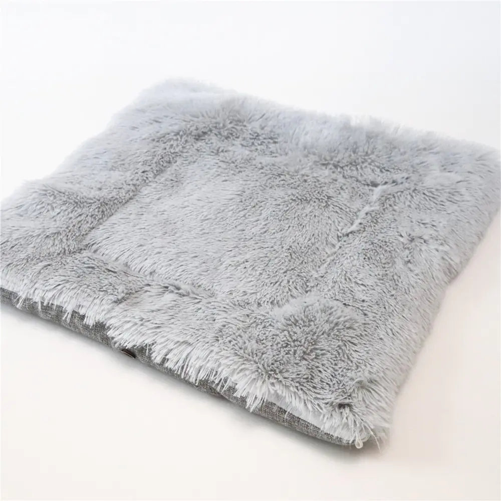 Cat Bed for smee