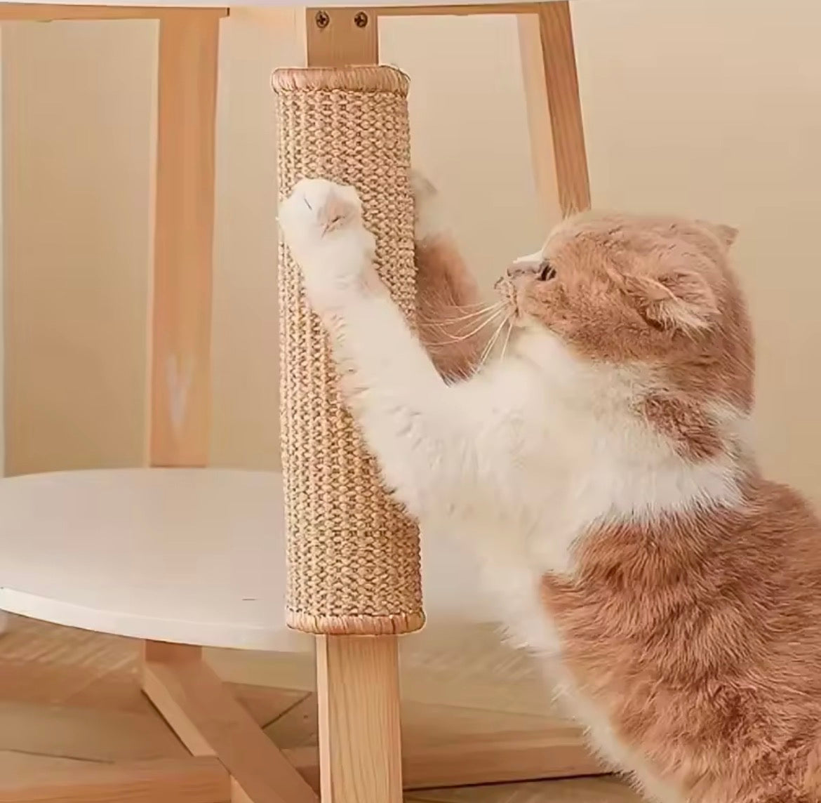 scratching post
