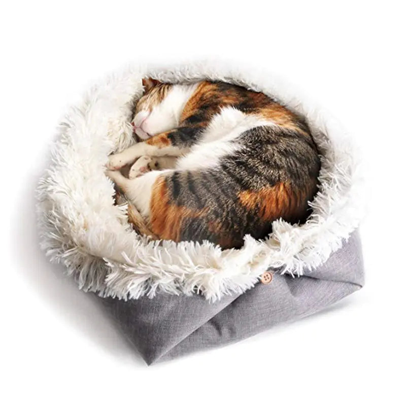 Cat Bed for smee