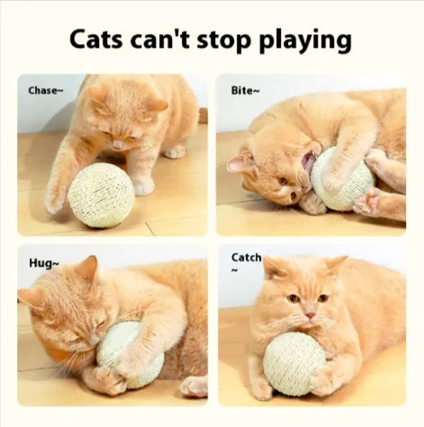 Pawsphere