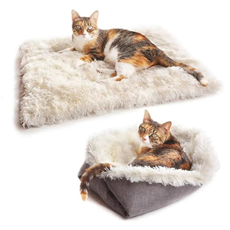 Cat Bed for smee