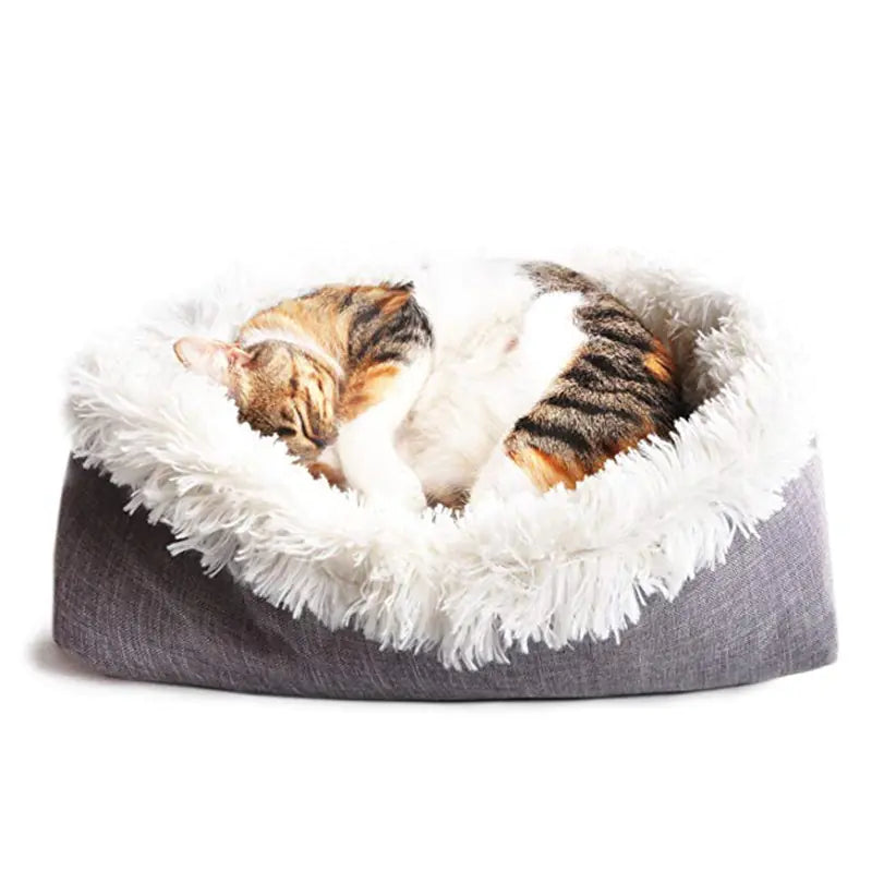 Cat Bed for smee